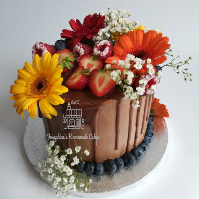 Chocolate & Strawberry Drip Cake